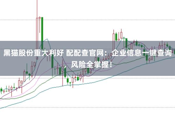 黑猫股份重大利好 配配查官网：企业信息一键查询，风险全掌握！