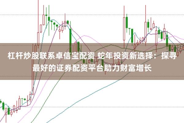 杠杆炒股联系卓信宝配资 蛇年投资新选择：探寻最好的证券配资平台助力财富增长