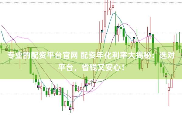 专业的配资平台官网 配资年化利率大揭秘：选对平台，省钱又安心！