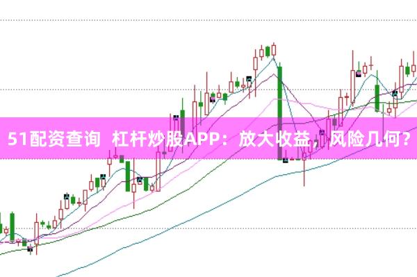 51配资查询 杠杆炒股APP:放大收益,风险几何?