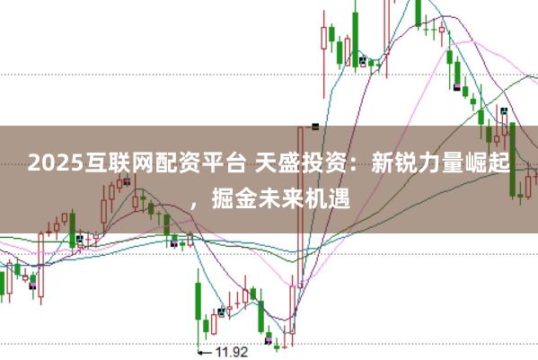 2025互联网配资平台 天盛投资:新锐力量崛起,掘金未来机遇