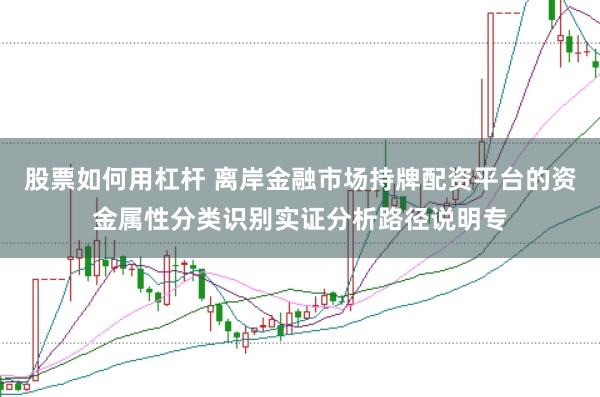 股票如何用杠杆 离岸金融市场持牌配资平台的资金属性分类识别实证分析路径说明专