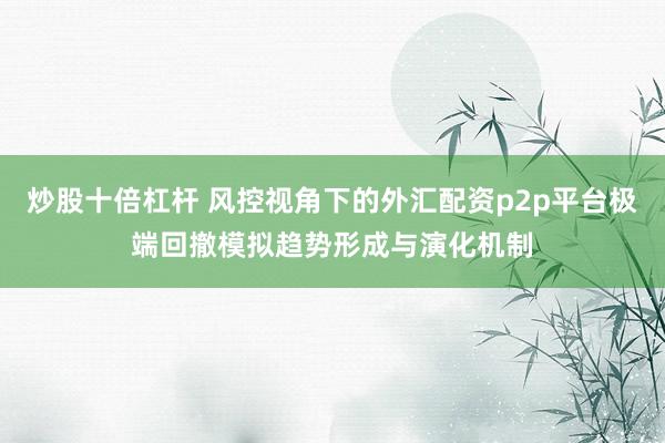 炒股十倍杠杆 风控视角下的外汇配资p2p平台极端回撤模拟趋势形成与演化机制