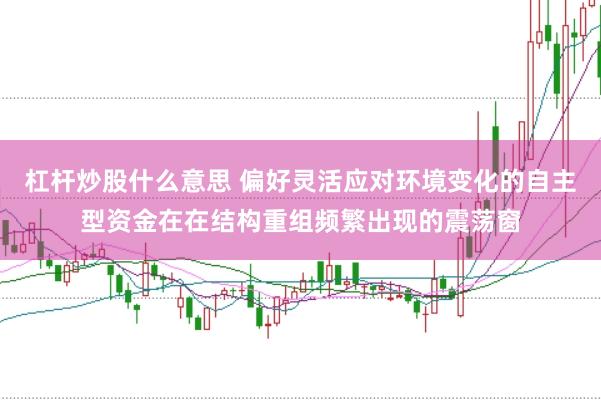 杠杆炒股什么意思 偏好灵活应对环境变化的自主型资金在在结构重组频繁出现的震荡窗