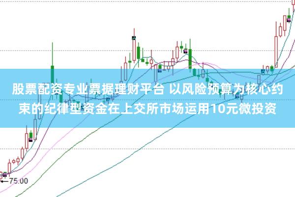 股票配资专业票据理财平台 以风险预算为核心约束的纪律型资金在上交所市场运用10元微投资