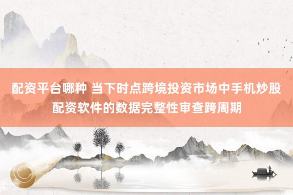 配资平台哪种 当下时点跨境投资市场中手机炒股配资软件的数据完整性审查跨周期