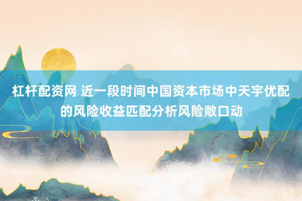 杠杆配资网 近一段时间中国资本市场中天宇优配的风险收益匹配分析风险敞口动