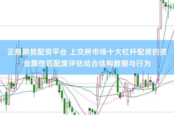 正规期货配资平台 上交所市场十大杠杆配资的资金属性匹配度评估结合结构数据与行为