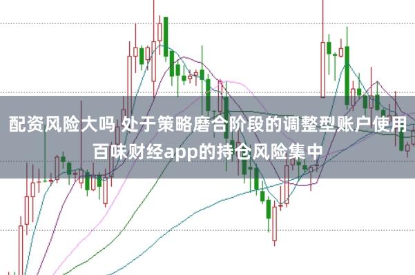 配资风险大吗 处于策略磨合阶段的调整型账户使用百味财经app的持仓风险集中