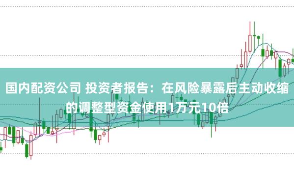 国内配资公司 投资者报告：在风险暴露后主动收缩的调整型资金使用1万元10倍