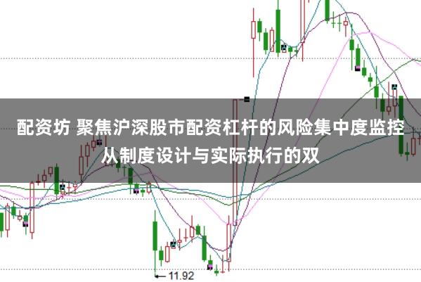 配资坊 聚焦沪深股市配资杠杆的风险集中度监控从制度设计与实际执行的双
