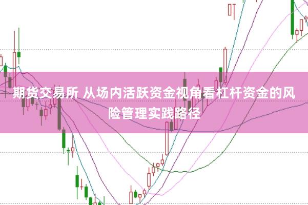 期货交易所 从场内活跃资金视角看杠杆资金的风险管理实践路径
