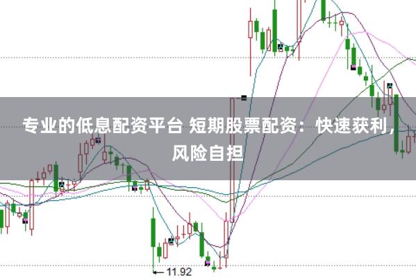 专业的低息配资平台 短期股票配资：快速获利，风险自担